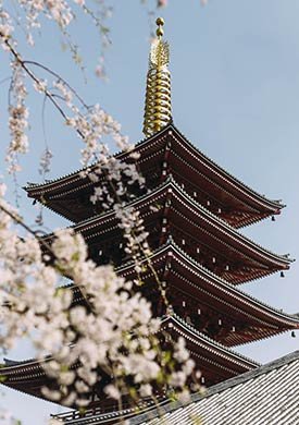 Keni Farmhouse Nature View